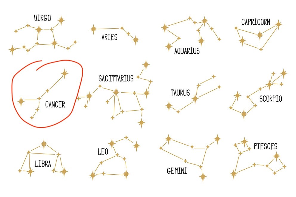 Cancer Spirit Animal The Tender Crab's Emotional Journey